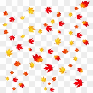 Transparent Background Falling Leaves , Png Download - Transparent Background Fall Leaves Clipart, Png Download