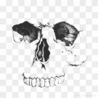 #freetoedit White Skull Face #blackandwhite #clipart - Skull Hamlet Black And White, HD Png Download