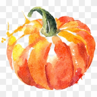 Watercolor Pumpkin Png , Png Download - Vegetable Abstract, Transparent Png