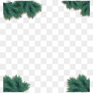 Branch Vector Decorative - Christmas Day, HD Png Download