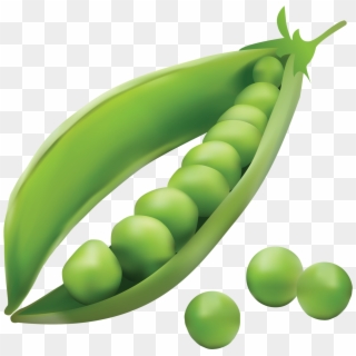 Peas Clipart - Seed Dispersal By Explosion Peas, HD Png Download
