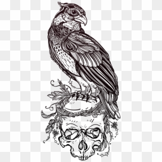 Tattoo Illustrator Skull Owl Of Material Bird Clipart - Hình Vẽ Đại Bàng Đẹp, HD Png Download