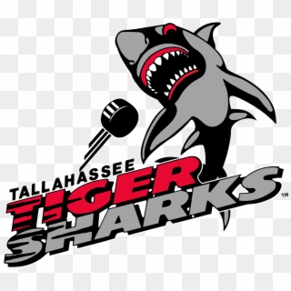Tallahassee Tiger Sharks - Tallahassee Tiger Sharks Logo, HD Png Download