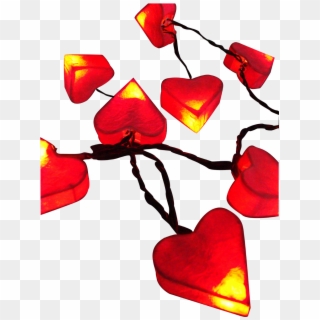 Tropical Theme Party Heart Shaped Mini Led Lights String - Heart, HD Png Download