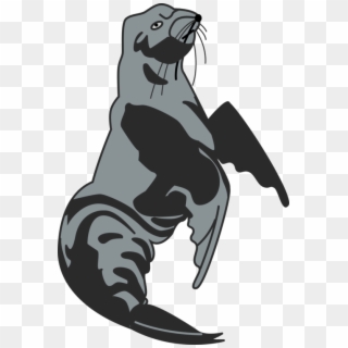 Dog Sea Lion Pinniped Walrus Harbor Seal - Illustration, HD Png Download
