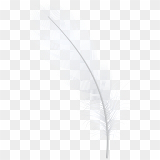 Feather White Png Clip Art - Darkness, Transparent Png