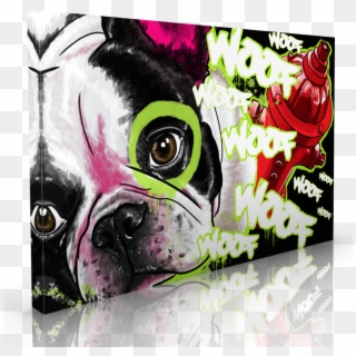 French Bulldog French Bulldog - Boston Terrier, HD Png Download