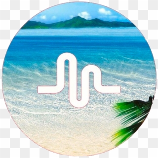 #musically #beach #musical - Musically On The Beach, HD Png Download