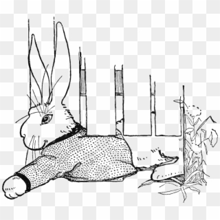 Peter Rabbit Albert 19 - Domestic Rabbit, HD Png Download