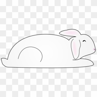 Animal Bunny Mammal Rabbit Png Image - Cartoon, Transparent Png