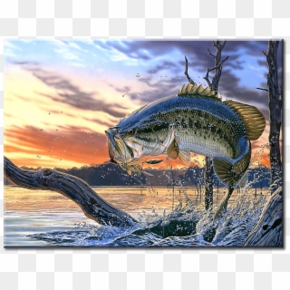 Largemouth Bass Poster, HD Png Download