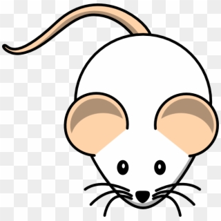 Small - Mouse Drawing, HD Png Download