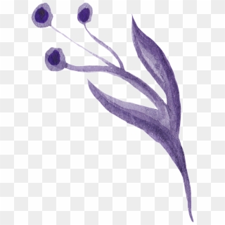 Deep Purple Flower Cartoon Transparent - Lily Family, HD Png Download