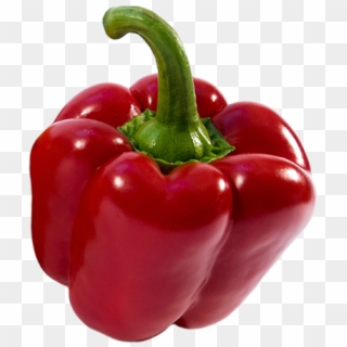 Bell Pepper Plant Png - Habanero Chili, Transparent Png