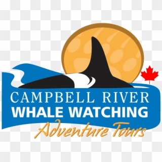 Campbell River Whale Watching And Adventure Tours ,, HD Png Download