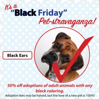 Black Friday Pet-stravaganza - Boxer, HD Png Download