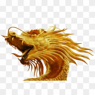 Dragon Vector Golden - Dragon Head No Background, HD Png Download
