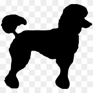Poodle Dog Doggy Outline Animal Png Image - Black Toy Poodle Clipart, Transparent Png