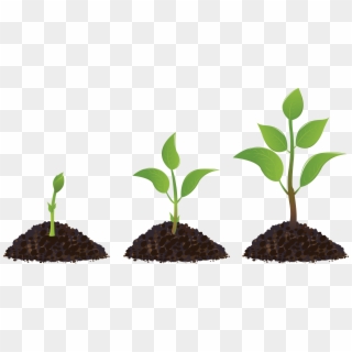 Sprouting Drawing Plant Transprent - Humanity And Hope, HD Png Download