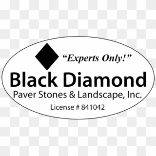 Black Diamond Has Been In Business Since 2004 With - Circle, HD Png Download