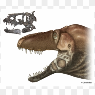 Drawn Tyrannosaurus Rex Scientific - Dinosaurs Discovered In 2017, HD Png Download