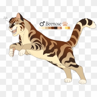 Details - Domestic Short-haired Cat, HD Png Download