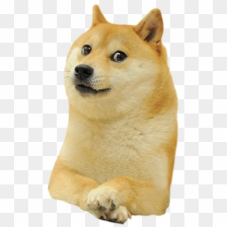 Shiba Deal Inu Doge It Dogecoin Warcraft Clipart - Doge Meme Transparent, HD Png Download