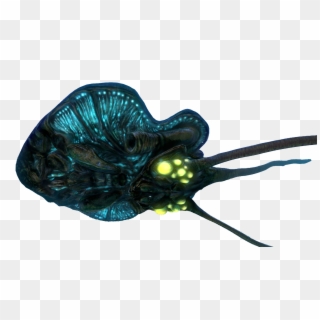 Fauna Png Fandom Powered Faunapng - Reefback Subnautica New Leviathan, Transparent Png