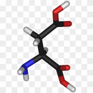 L Aspartic Ac - Aspartic Acid, HD Png Download