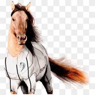 Horse Cb Background Hd, HD Png Download