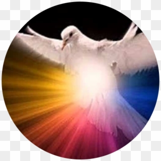 Dios Espiritu Santo - Divine Dove, HD Png Download