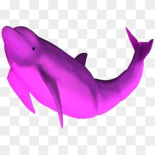 1280 X 1121 2 0 - Pink Dolphin Png, Transparent Png