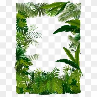 Trees Tree Illustration Tropical Euclidean Vector Forest - Tropical Forest Png, Transparent Png