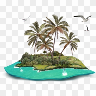 Coconut Gratis Island Tree Decoration Pattern Beach - Island With Trees Cartoon, HD Png Download