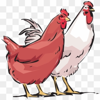 Hen, Cock, Animals, Farm - Cock Hen Clipart, HD Png Download