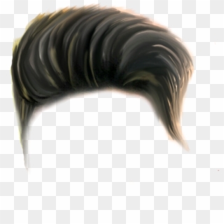 Hairstyles Png Transpa Images 1145 Pngio - Hair Png Sr Editing Zone,  Transparent Png