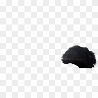 2) Hair Png - Silhouette, Transparent Png