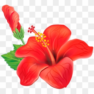 Hawaiian Flowers Png - Flor Del Festival Vallenato, Transparent Png