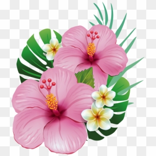 I Actually Have Two Of These Hawaiian Trees With The - Flores Moana Png, Transparent Png