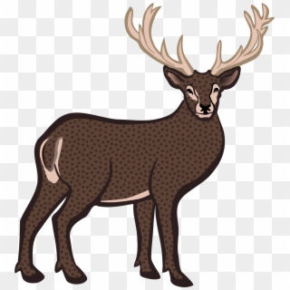Reindeer White-tailed Deer Bison Elk - Buck Deer Clipart, HD Png Download