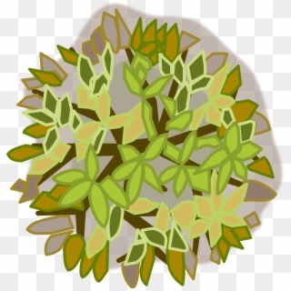 This Free Icons Png Design Of Tree Top View , Png Download, Transparent Png