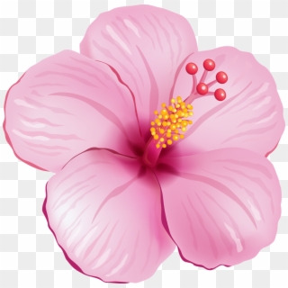 Tropical Paper Flowers - Tropical Pink Flower Png, Transparent Png