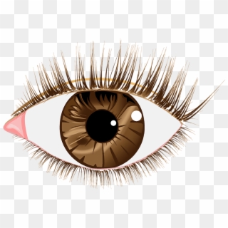 Eye Lashes Images, HD Png Download
