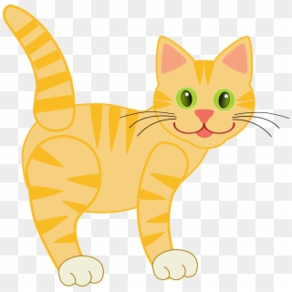 Kitten Cute Cats Kid Image Png - Cat Clipart, Transparent Png