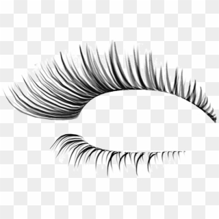 Cliparts For Free Download Eyelash Clipart - Fake Eyelashes Transparent Background, HD Png Download