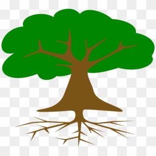 Tree Roots And Leaves Drawed - Arbol De Dibujo Con Raices, HD Png Download
