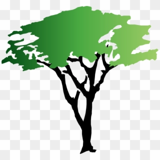 Roots Clipart Learning Tree - Free Acacia Tree Clipart, HD Png Download