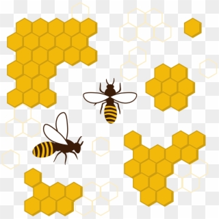 Honeycomb Clipart Transparent - Bee Honeycomb Vector, HD Png Download