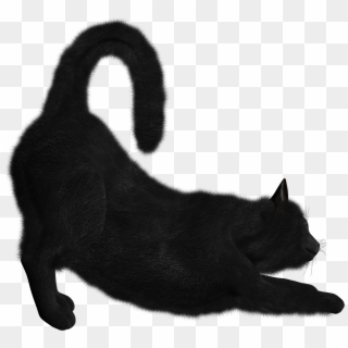 Free Png Download Cat Png Images Background Png Images - Black Cat Png Transparent, Png Download