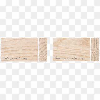 Growth Ring - Plywood, HD Png Download